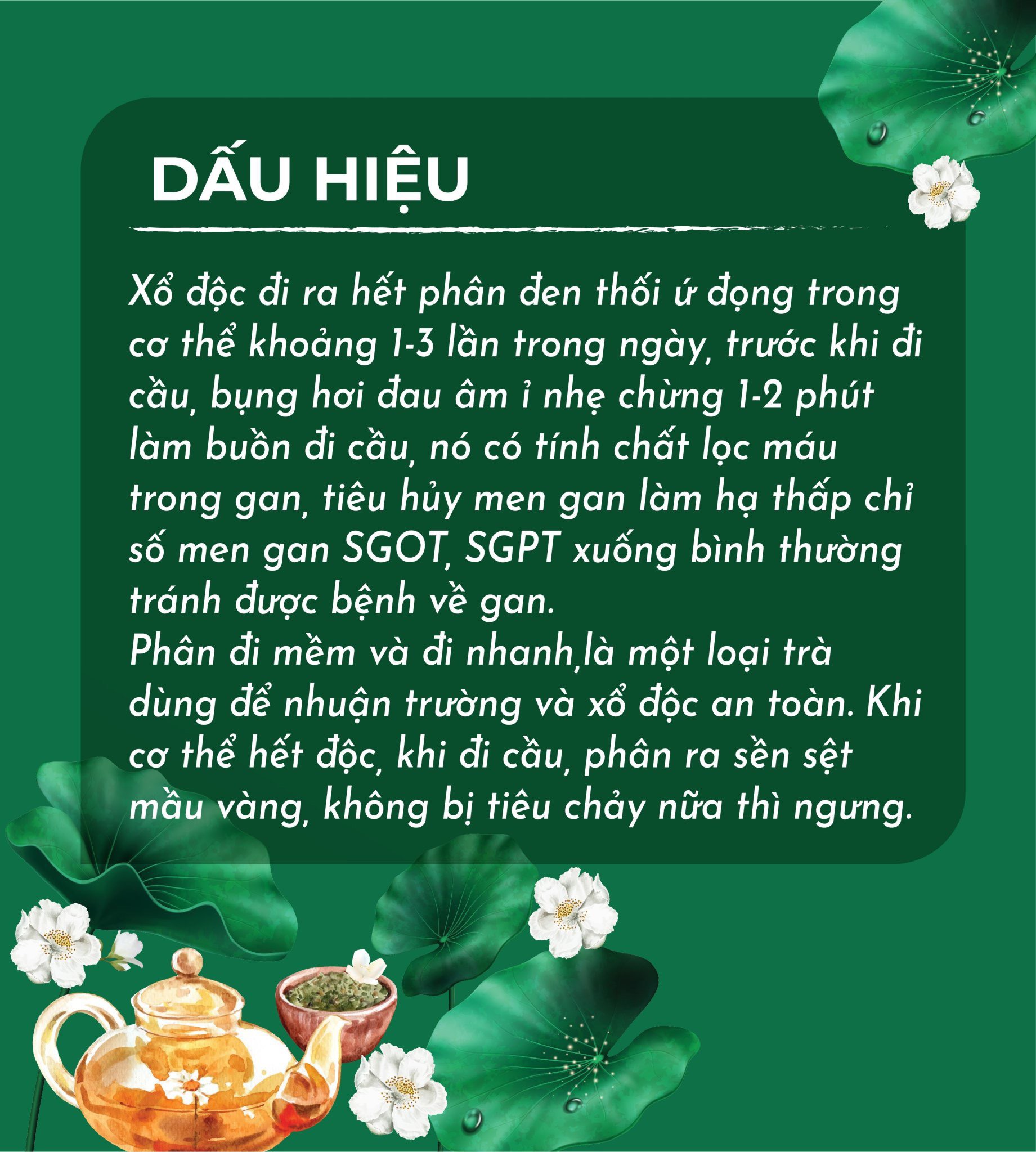 tim hieu Tra La Nam Nhu Y Ny